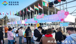 赏花季催热青岛市南区“春日经济”