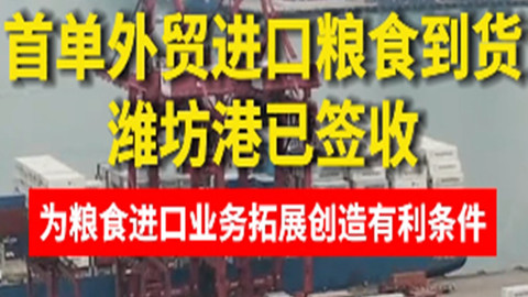 潍坊港：首单外贸进口粮食到货