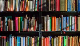 2023年河北文学榜揭晓