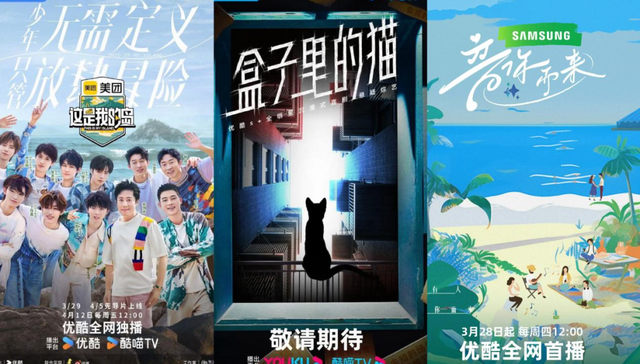 长视频平台,综艺,流量,口碑,