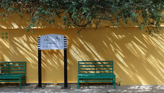 翠湖城市绿道延展了！“串”起新风景