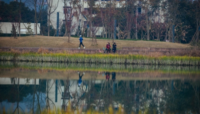 借力国际“朋友圈”，成都向全球输出公园城市建设经验