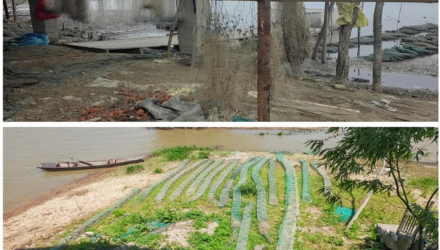 安庆沿江湿地省级自然保护区部分区域管理保护不到位 违法违规问题突出