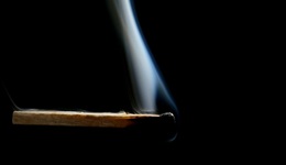 延缓衰老、推迟死亡，生物学脑洞大开的研究思路