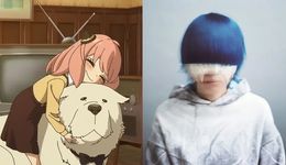 二次元的风，刮进音乐节