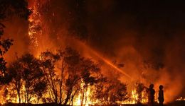 伯克希尔能源面临剧变，巴菲特称投资决策不会考虑气候变化因素