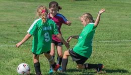 体育培训，也逃不出“拼多多”模式？