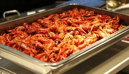 網(wǎng)紅餐飲，到底要跑步進(jìn)場，還是要遠(yuǎn)離觀望？