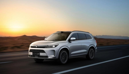 理想的理想与现实