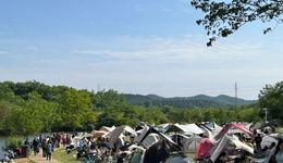 這個五一，加強(qiáng)版的“農(nóng)家樂”火了