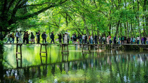 接客量、旅游收入均創(chuàng)新高，安徽文旅何以能“火”出加速度？