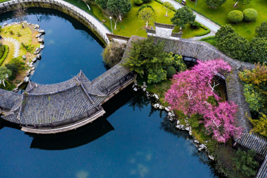 良辰吉日 月湖有喜 | 5月19日来海曙看“宰相嫁女”