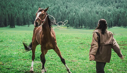 復制“阿勒泰”，能否成為長視頻的長久生意？