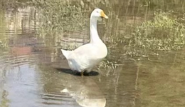 一位旅游博主的“造假”忏悔录