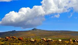 《我的阿勒泰》：這部豆瓣評(píng)分8.8的神作，治愈當(dāng)代社畜的心