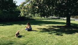 特别策划 | 不如去公园散步