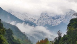 “穿越大熊貓愛情走廊”十年再出發(fā)——大熊貓國家公園聯(lián)合巡護(hù)直播活動即將開幕