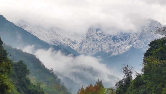 “穿越大熊猫爱情走廊”十年再出发——大熊猫国家公园联合巡护直播活动即将开幕