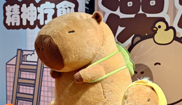 身價(jià)飆升、直逼奢侈品，聊聊2024冷門(mén)動(dòng)物的“熱經(jīng)濟(jì)”