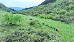 活動(dòng)第五天，大熊貓國(guó)家公園聯(lián)合巡護(hù)隊(duì)登頂火燒營(yíng)