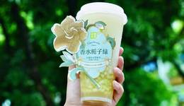 新茶飲高價(jià)“瘋搶”梔子花，收購價(jià)從每斤3元暴漲到40元，有花農(nóng)收入翻番