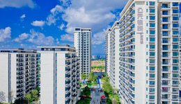 30歲985高材生創(chuàng)業(yè)失敗后轉(zhuǎn)行去賣房