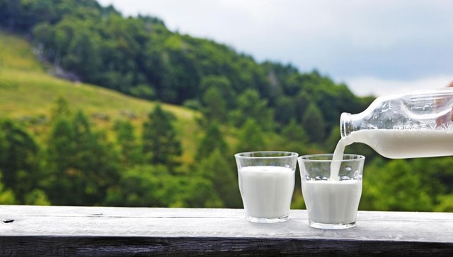 蒙牛,伊利,乳业,消费