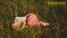 创业失败后，我去了大理