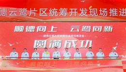 順德向上，云鷺向新 | 順德舉行云鷺片區(qū)統(tǒng)籌開發(fā)現(xiàn)場推進會