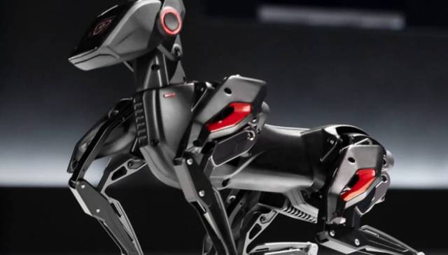 时尚,消费,维秘,投资