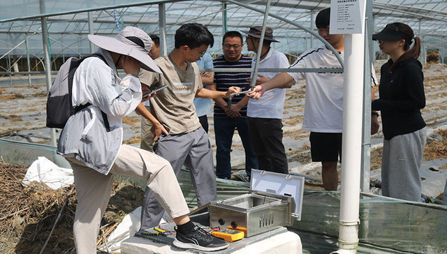 下田间调研，烈日下编程，这群大学生“智慧”助农有绝招