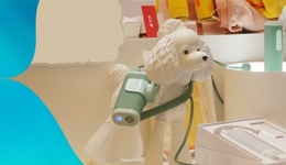 為了“毛孩子”，亞寵展上的品牌有多拼？