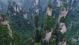 患“三高”的张家界，苦等“降压”良药