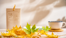 關(guān)曉彤代言，這家明星茶飲品牌被申請破產(chǎn)