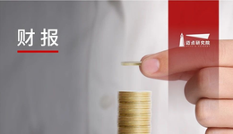 2024上半年国企文旅集团财务分析报告