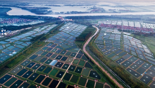 博兴，何以“百强”？