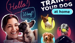 半年近200万下载量的跨物种翻译器爆火海外，AI已经进化到这种程度了？