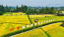 致敬耕耘 禮贊收獲 | 都江堰市舉辦慶豐收田園體驗(yàn)季活動(dòng)