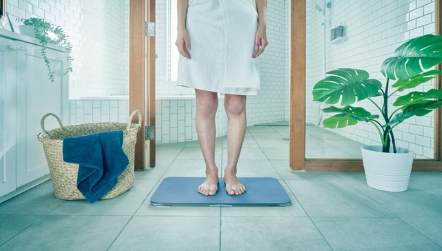 创业,日本,体重垫