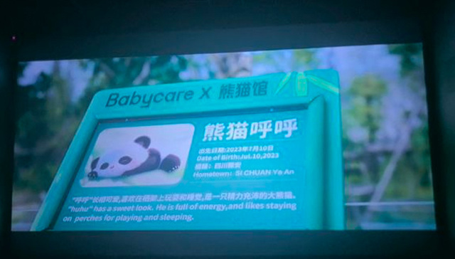 雅安出品电影《熊猫计划》国庆档热映，票房破7000万