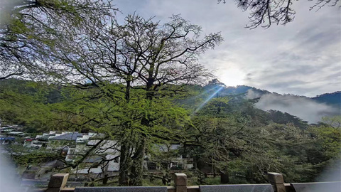 黃山市“中式夜游”點(diǎn)亮交旅融合新“夜”態(tài)