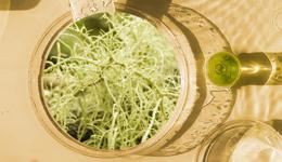 三問諾獎科技miRNA，如何顛覆美妝研發(fā)？