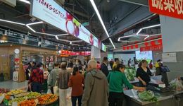 成都高新區(qū)盛興社區(qū)綜合體正式投運(yùn)！高標(biāo)準(zhǔn)農(nóng)貿(mào)市場“煙火氣”散發(fā)“幸福味”