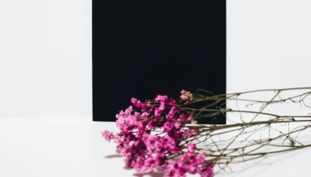 文化,死亡,互联网