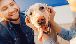 中國低價(jià)寵物糧，盯上2億印尼鏟屎官