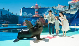 青島極地攜手中國海洋大學(xué)，合作賦能海洋科普新模式