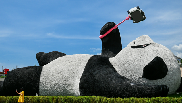 最新！成都发布大熊猫主题游线