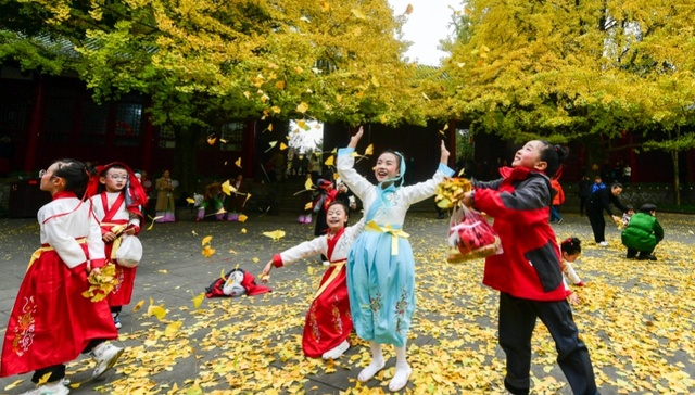 罨画池银杏等你来赏 游玩攻略和停车指南看过来！