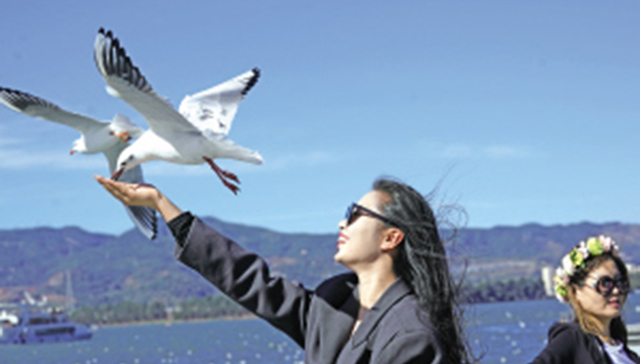 截至11月底，昆明旅居民宿预订增幅超1.6倍