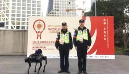 “成都造”機(jī)器人站崗混團(tuán)世界杯 賦予賽事成都現(xiàn)代化內(nèi)涵